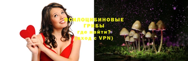 спайс Липки