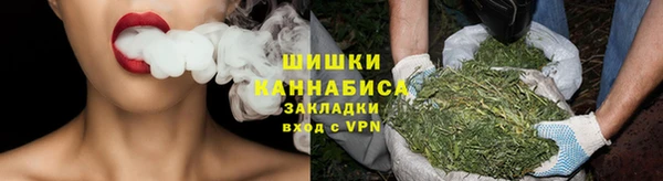 ПСИЛОЦИБИНОВЫЕ ГРИБЫ Лиски