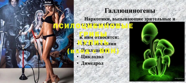 спайс Липки