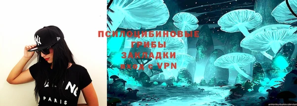 спайс Липки